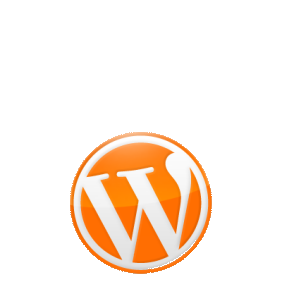 百士威科技 - A Wordpress Solution Provider